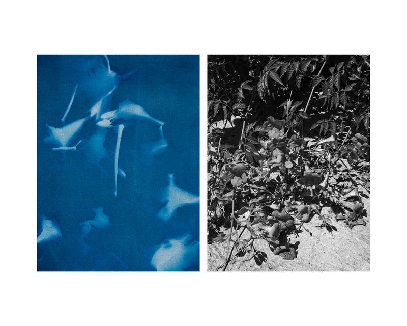 © Marcel Rauschkolb - Image from the The Garden photography project