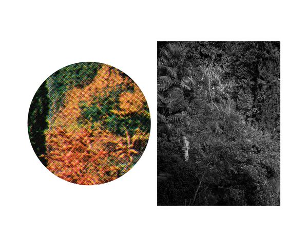 © Marcel Rauschkolb - Image from the The Garden photography project