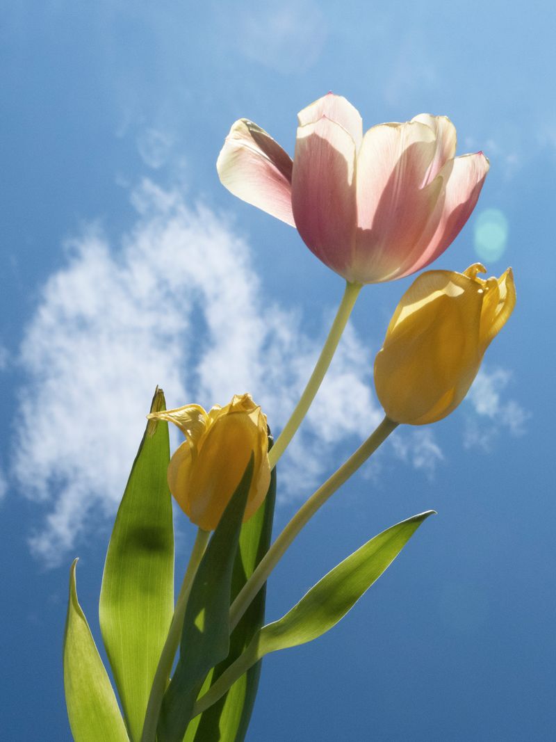 © Weronika Welihodska - Image from the As The Night Goes By, So Does The Dream photography project