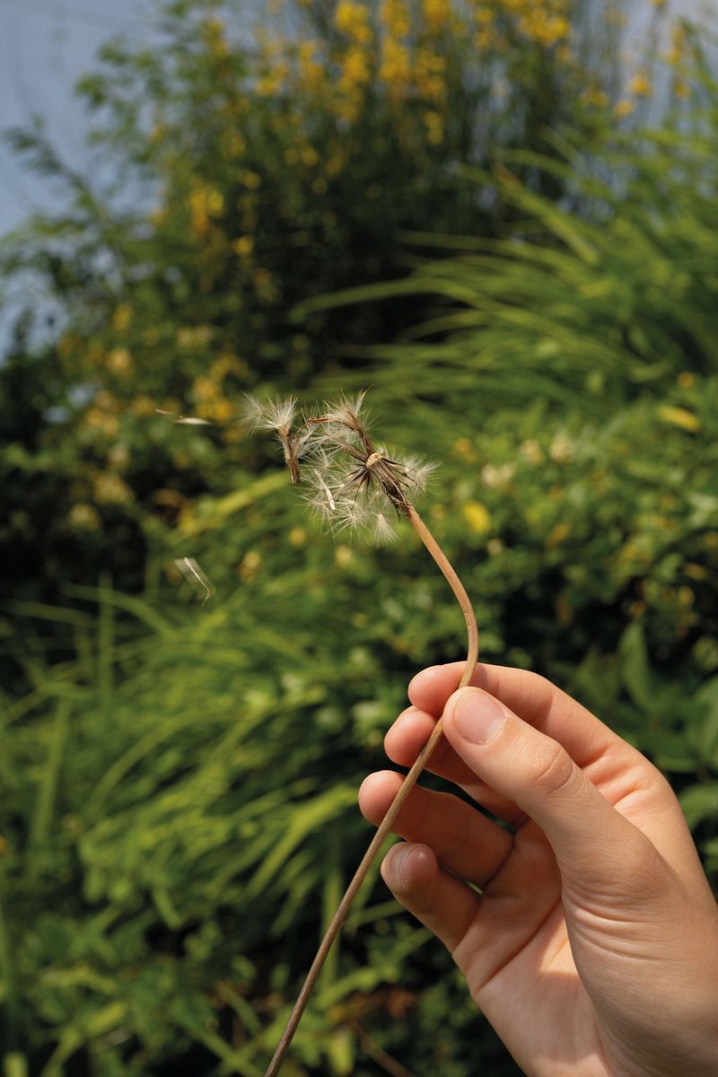 © Weronika Welihodska - 'Make a wish'