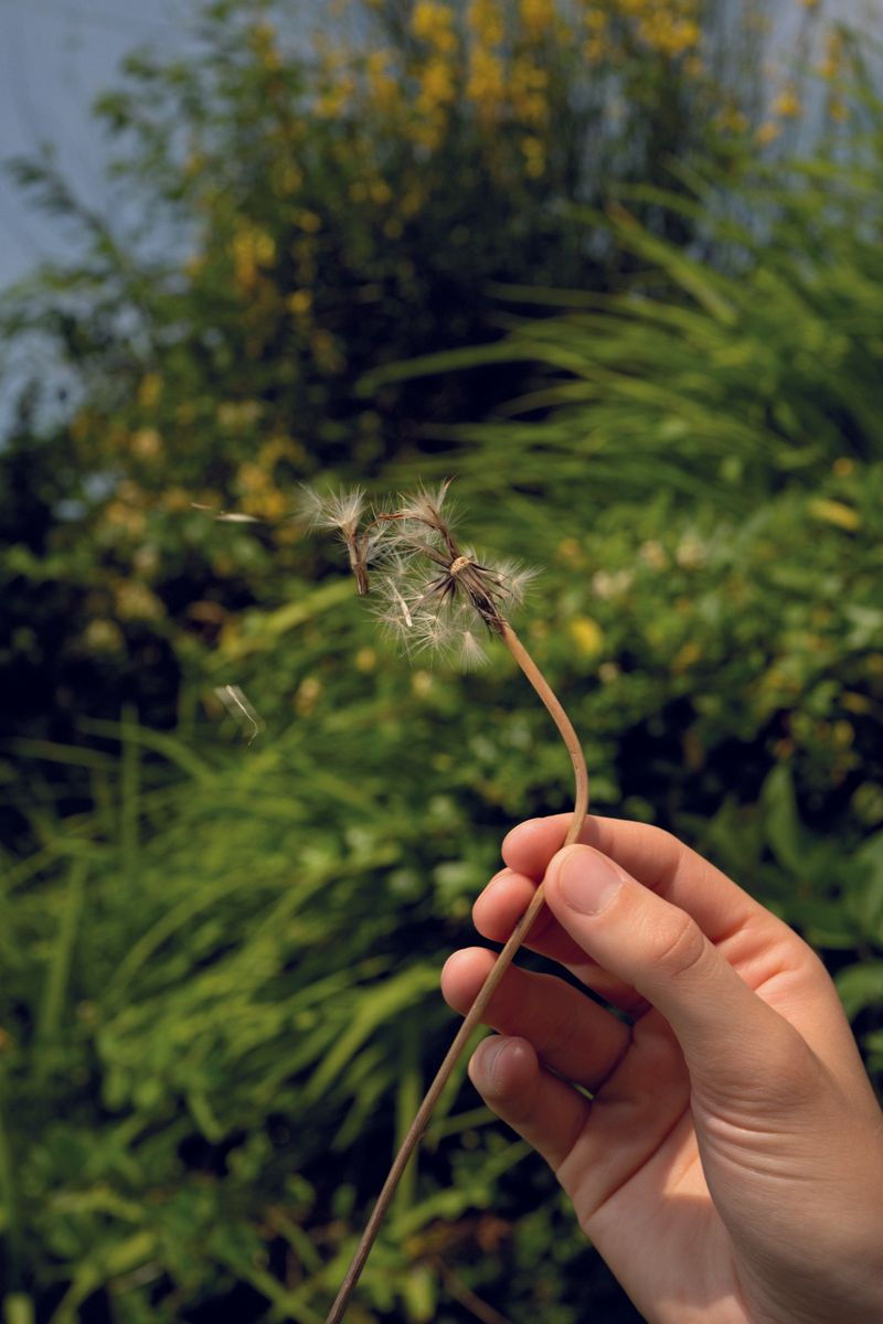 © Weronika Welihodska - 'Make a wish'