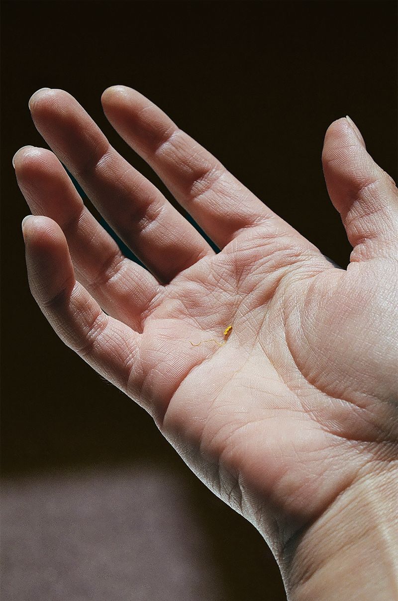 © Weronika Welihodska - 'Love Line'A seed has been planted