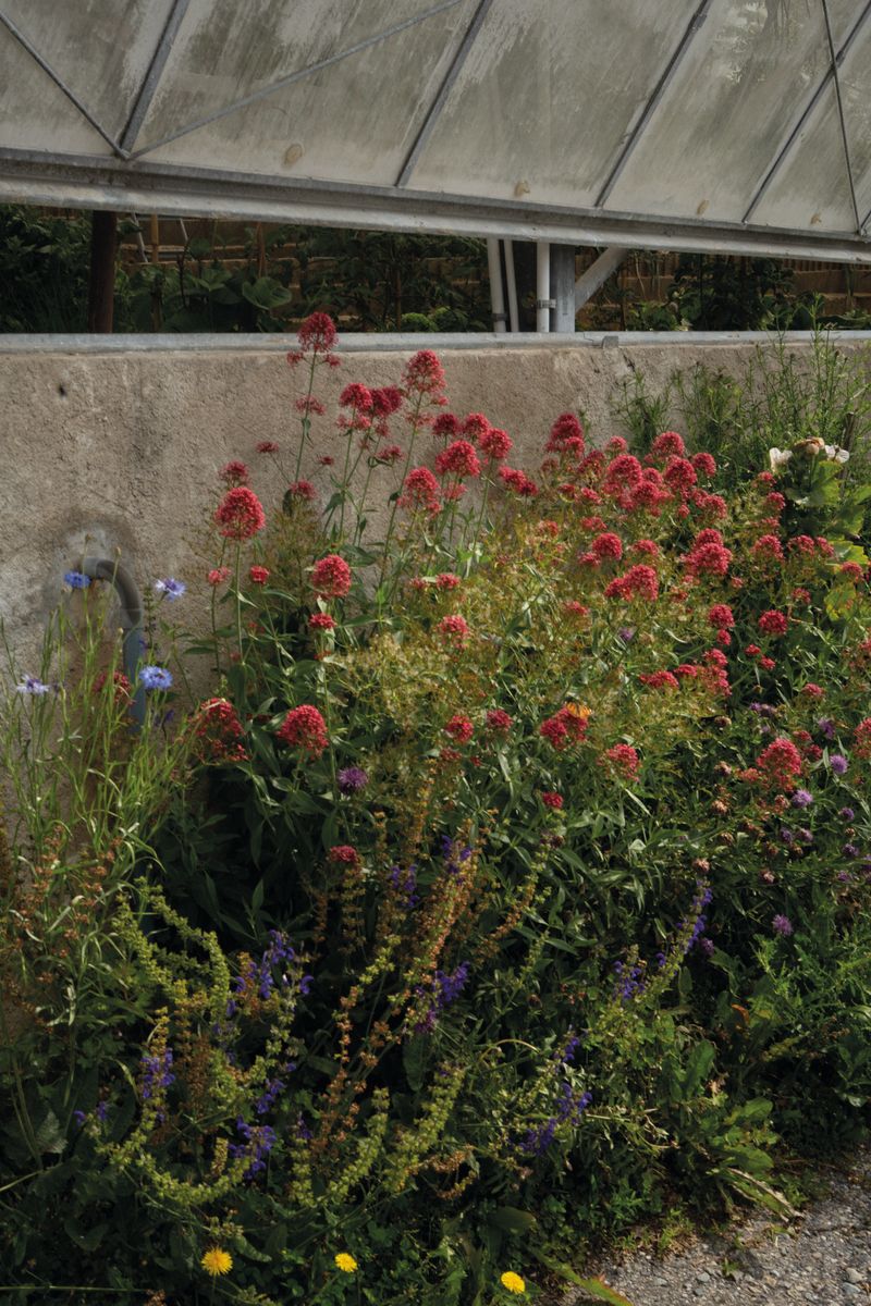 © Weronika Welihodska - Image from the As The Night Goes By, So Does The Dream photography project