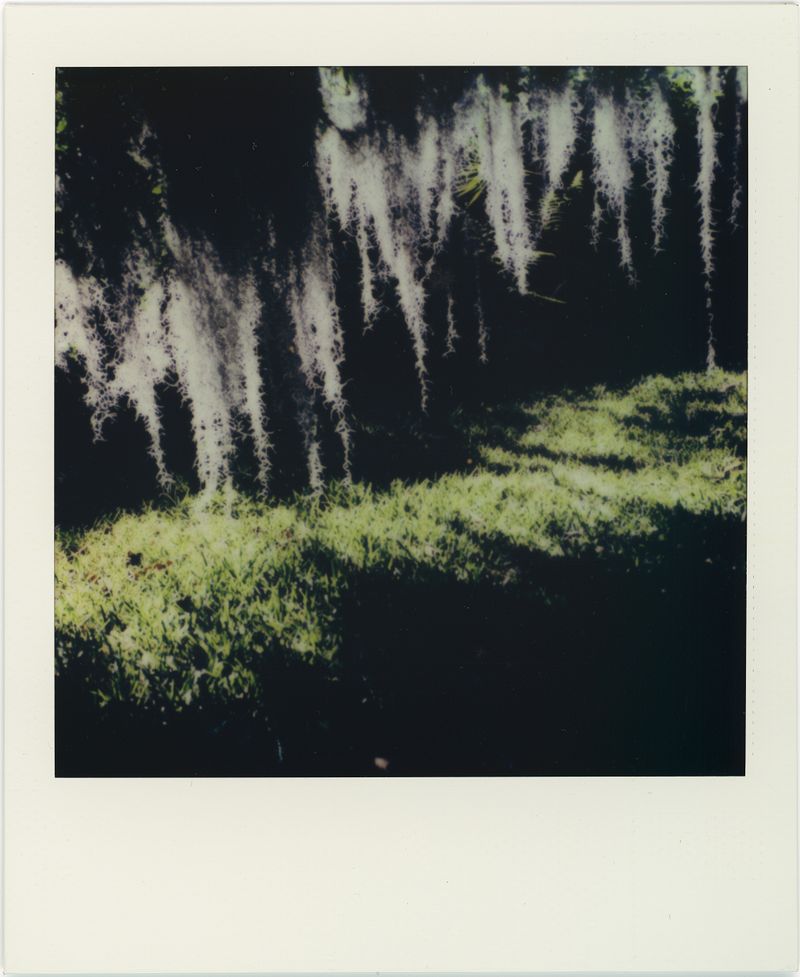 © Lewis JOLY - Image from the Zarlor photography project
