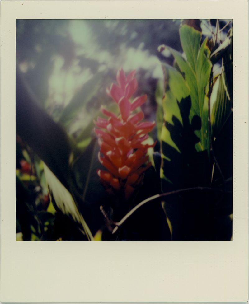 © Lewis JOLY - Image from the Zarlor photography project