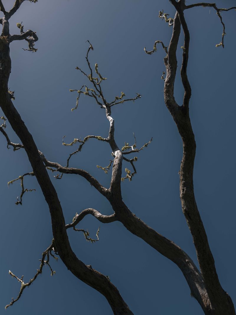 © Lewis JOLY - Image from the Zarlor photography project