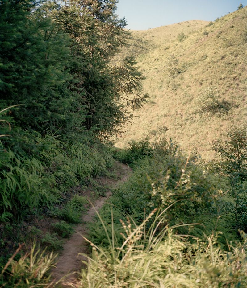 © ze xuan zeng - Image from the The Internal Crusade photography project