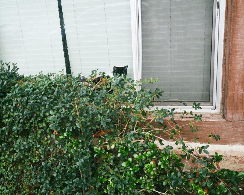 Image from a project on PhMuseum