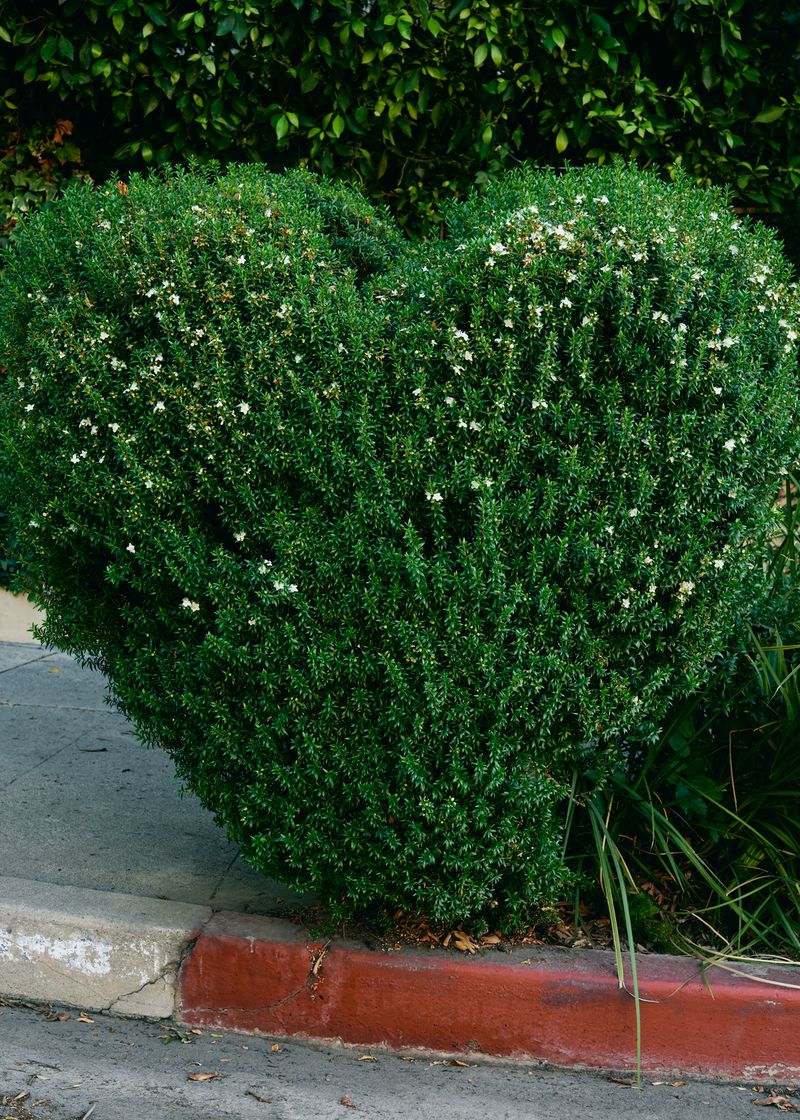 Image from a project on PhMuseum