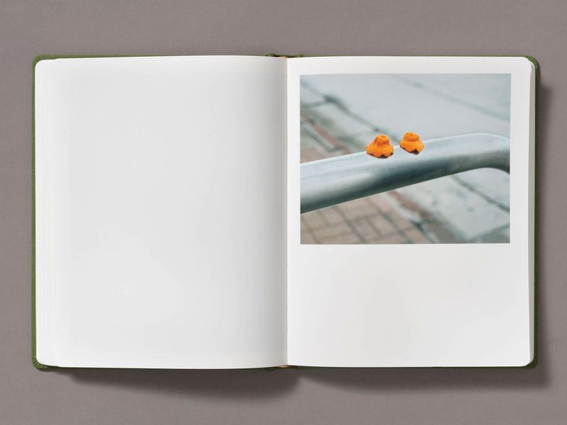 Image from a project on PhMuseum