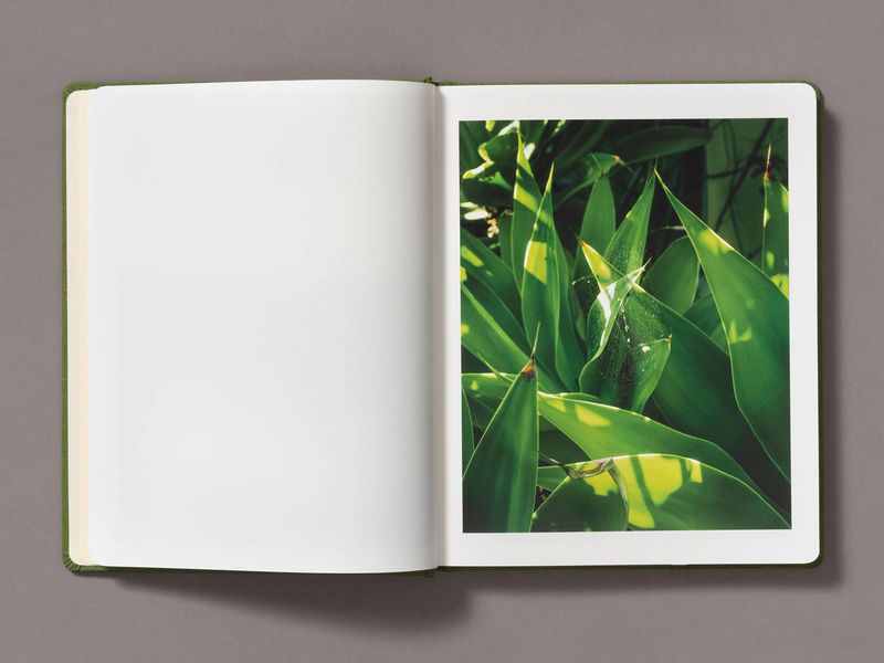 Image from a project on PhMuseum