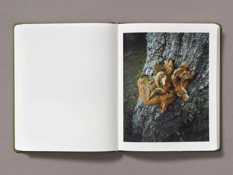 Image from a project on PhMuseum