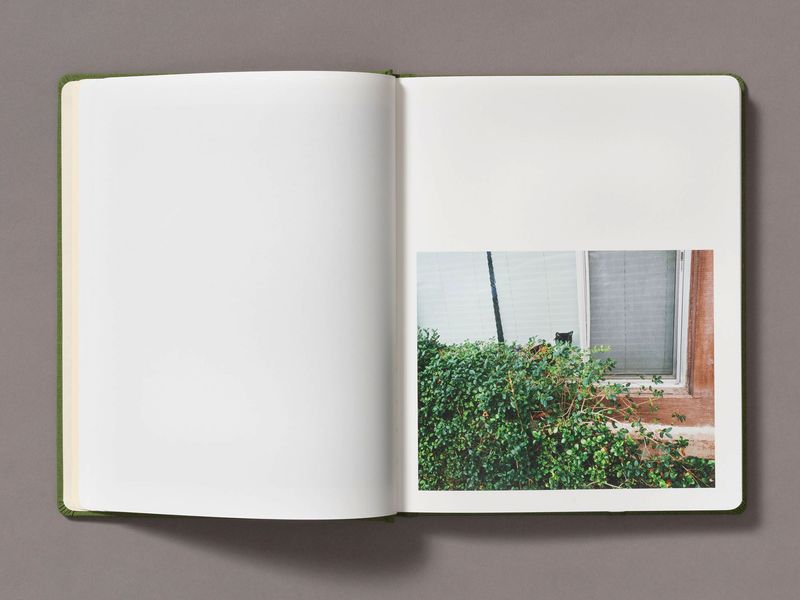 Image from a project on PhMuseum