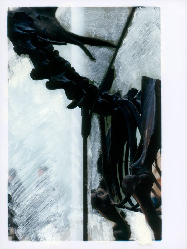 © Valentin Derom - Image from the Afterdeath photography project