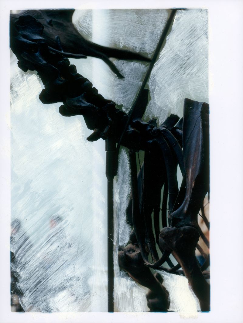 © Valentin Derom - Image from the Afterdeath photography project