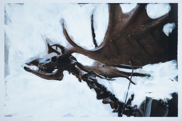 © Valentin Derom - Image from the Afterdeath photography project