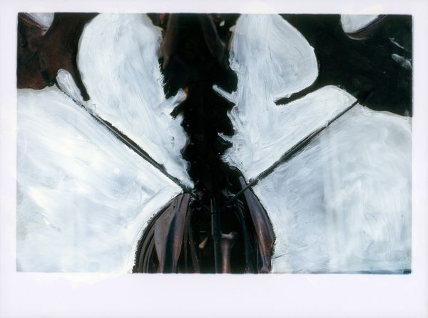 © Valentin Derom - Image from the Afterdeath photography project