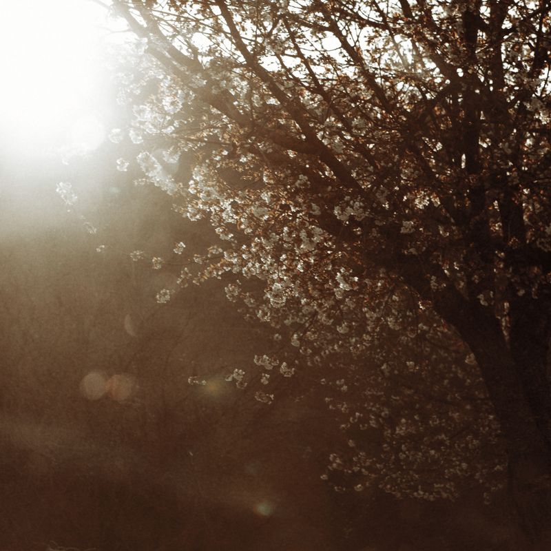 © Graziano Panfili - Image from the “BROKEN HOME” photography project