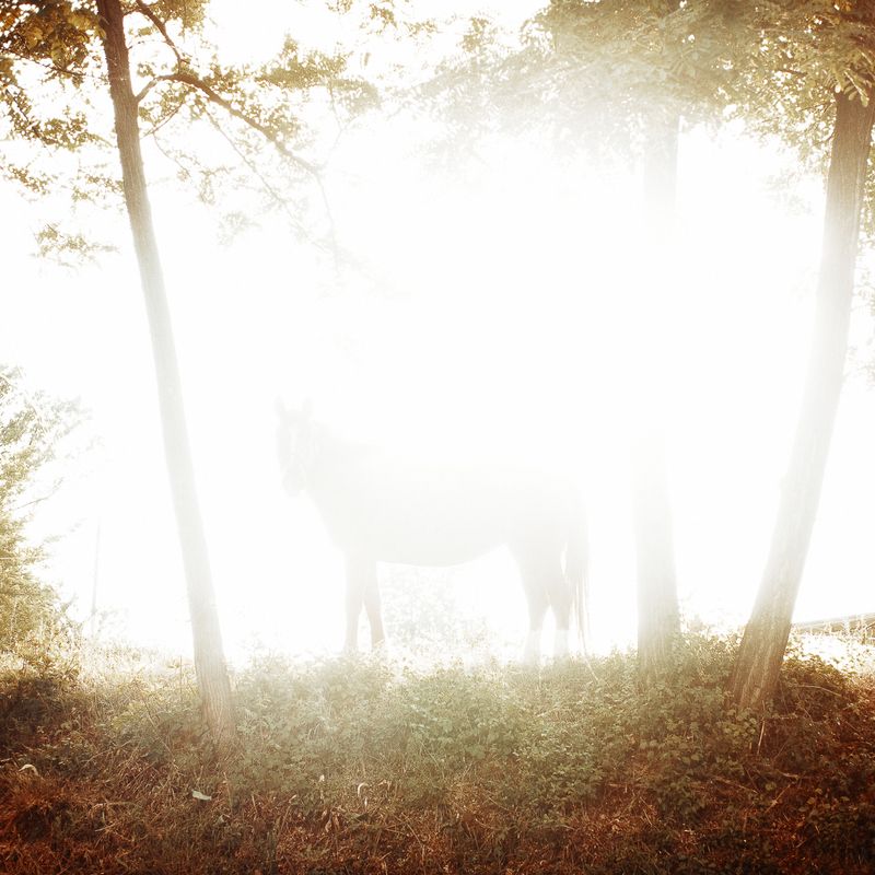 © Graziano Panfili - Image from the “BROKEN HOME” photography project