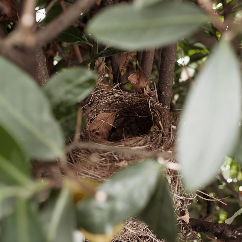 © Graziano Panfili - Image from the “BROKEN HOME” photography project