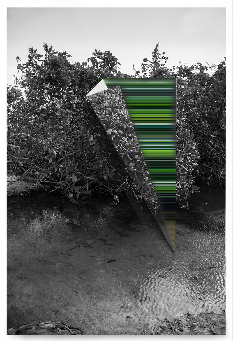 © andrea alkalay - Landscape on Landscape Cod_52EA30