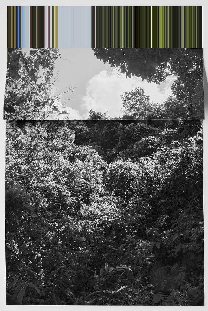 © andrea alkalay - Landscape on Landscape Cod_38471D