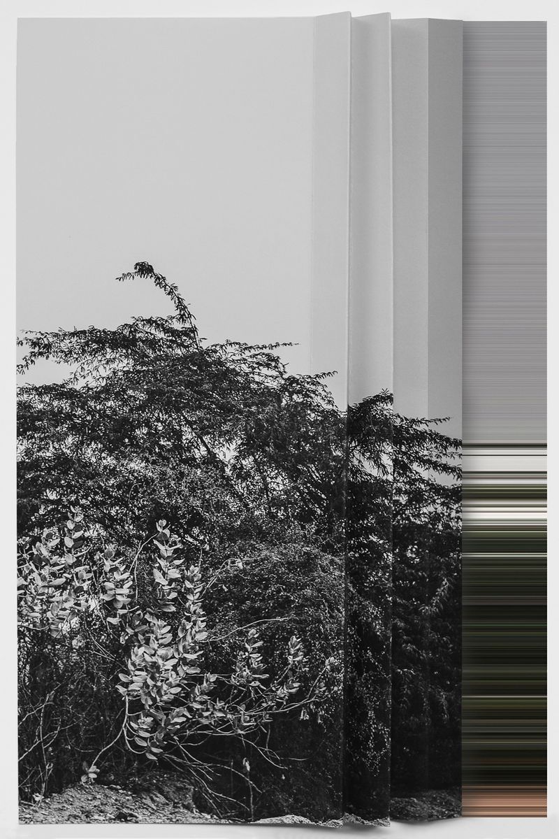 © andrea alkalay - Landscape on Landscape Cod_ACACAA