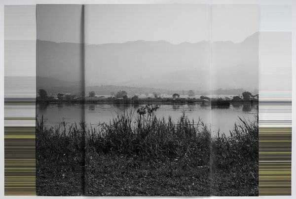 © andrea alkalay - Landscape on Landscape Cod_807917