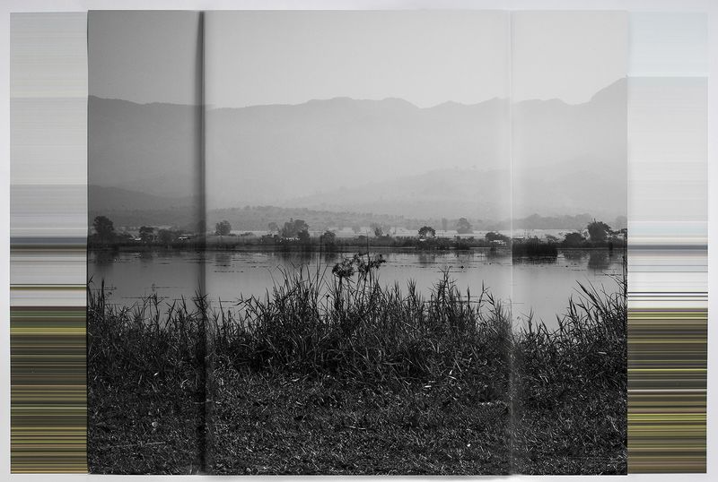 © andrea alkalay - Landscape on Landscape Cod_807917