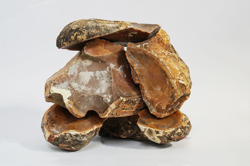 © andrea alkalay - PircaDigital direct shot, from volcanic rocks