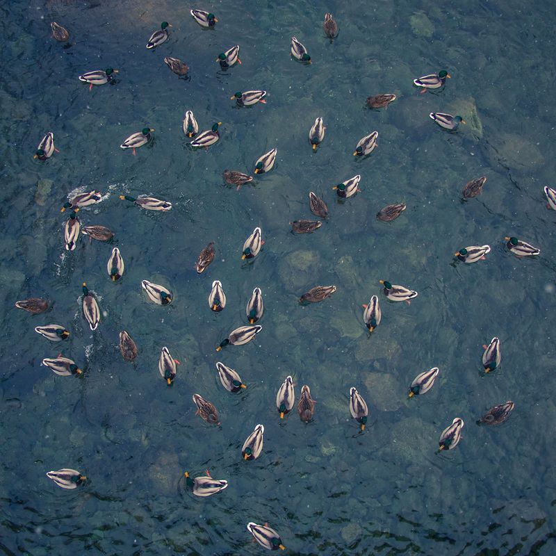 © Federico Borella - Image from the The sun mirror Village photography project