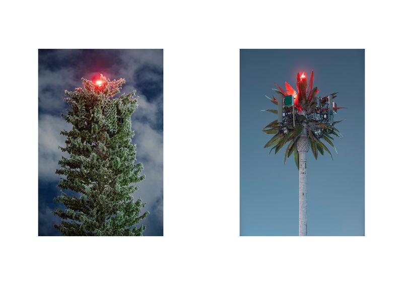 © Işık Kaya - Image from the Second Nature photography project