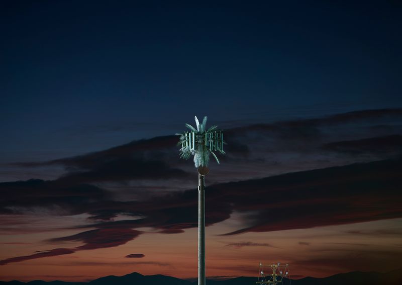 © Işık Kaya - Image from the Second Nature photography project