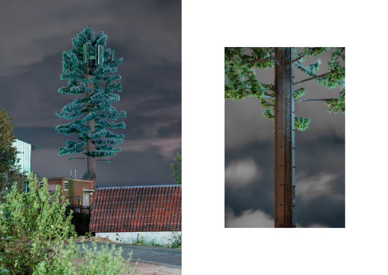 © Işık Kaya - Image from the Second Nature photography project