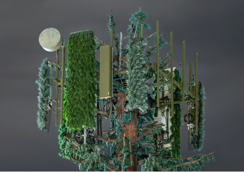 © Işık Kaya - Image from the Second Nature photography project