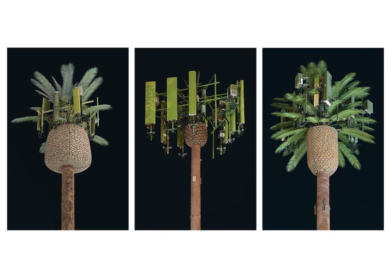 © Işık Kaya - Image from the Second Nature photography project