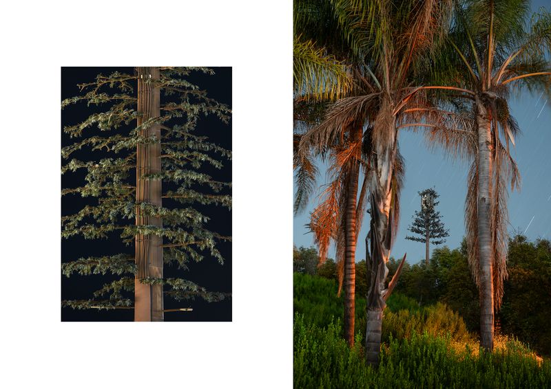 © Işık Kaya - Image from the Second Nature photography project