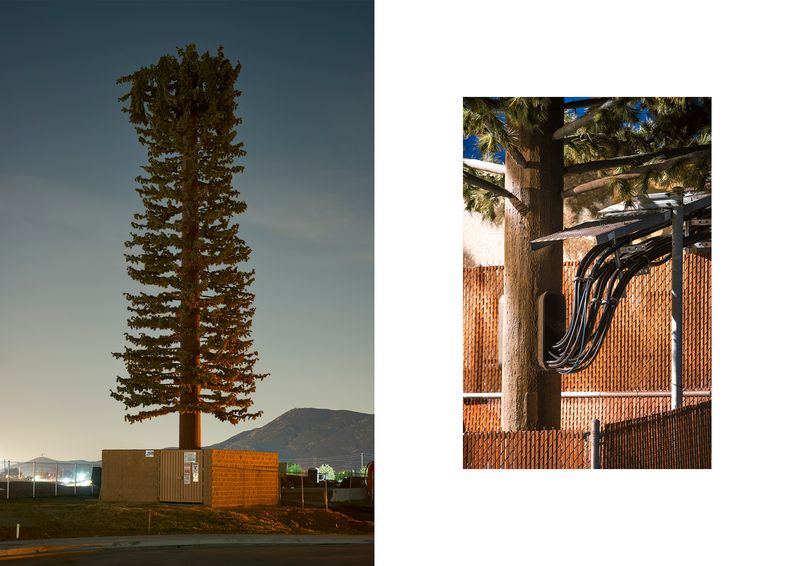 © Işık Kaya - Image from the Second Nature photography project