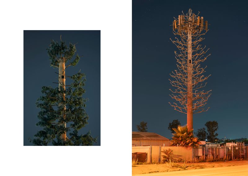 © Işık Kaya - Image from the Second Nature photography project