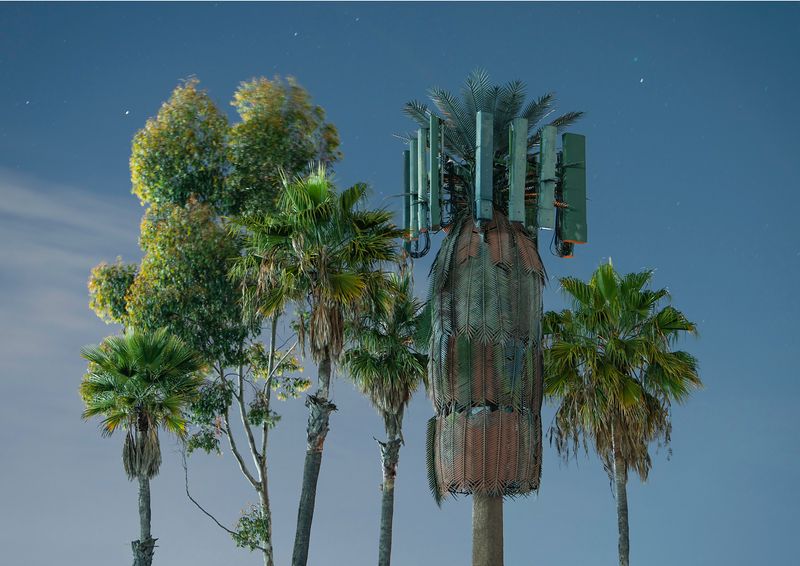 © Işık Kaya - Image from the Second Nature photography project