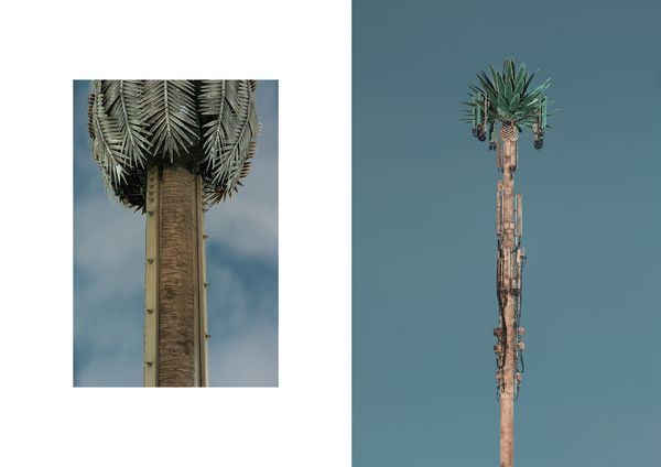 © Işık Kaya - Image from the Second Nature photography project