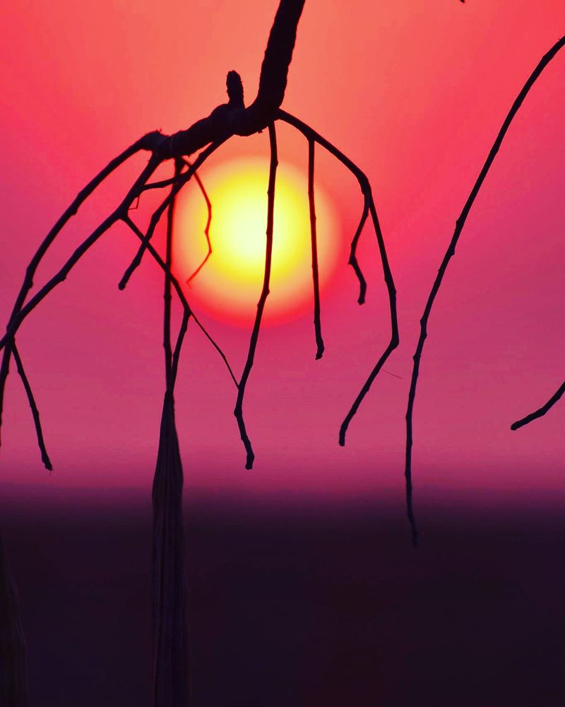 © Gabriela Zoldova - African Sunset