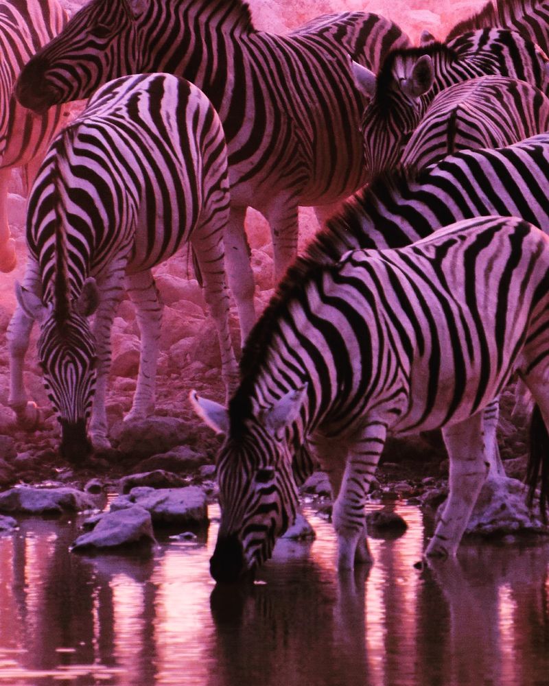 © Gabriela Zoldova - Romance