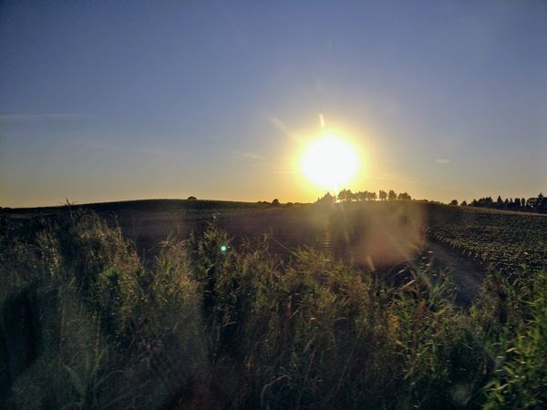 © Leticia Valverdes - Image from the Dear Ana -Postcards FOR my grandmother photography project