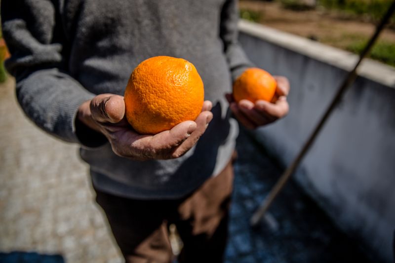 © Leticia Valverdes - Image from the Dear Ana -Postcards FOR my grandmother photography project