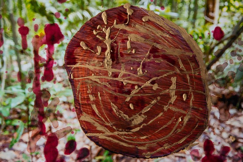 © Leticia Valverdes - Image from the #prayforamazonia photography project