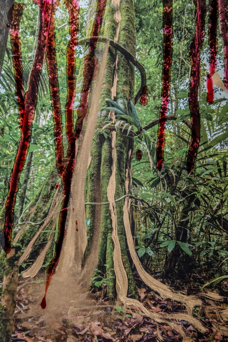 © Leticia Valverdes - Image from the #prayforamazonia photography project