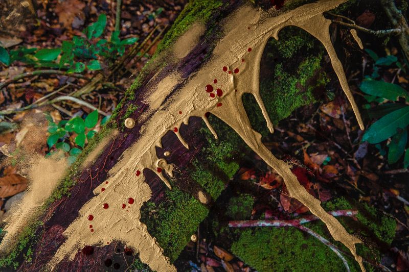 © Leticia Valverdes - Image from the #prayforamazonia photography project