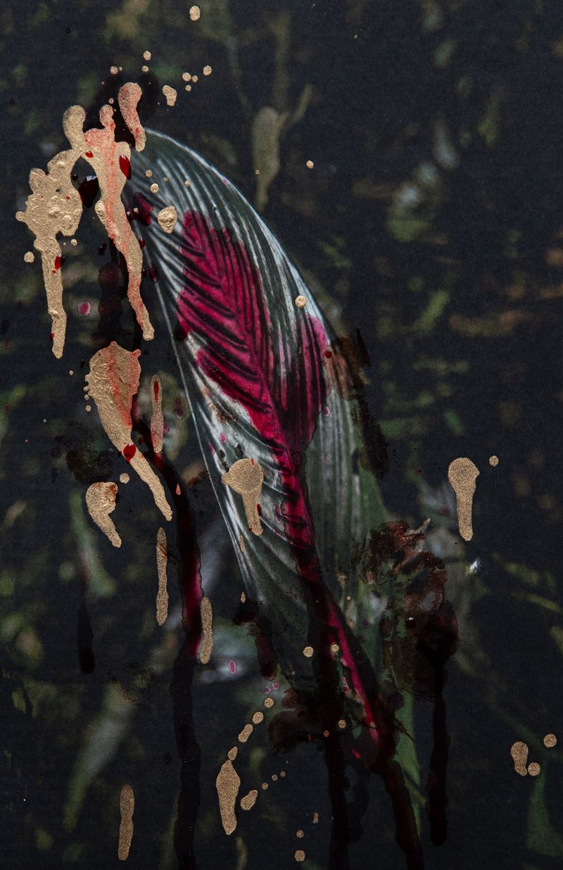 © Leticia Valverdes - Image from the #prayforamazonia photography project