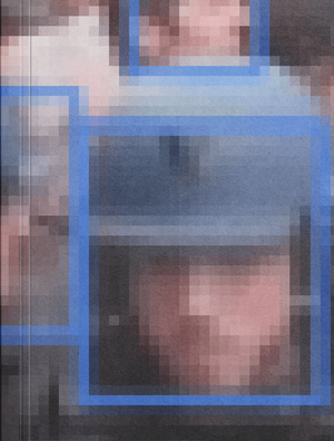 Reversed Surveillance